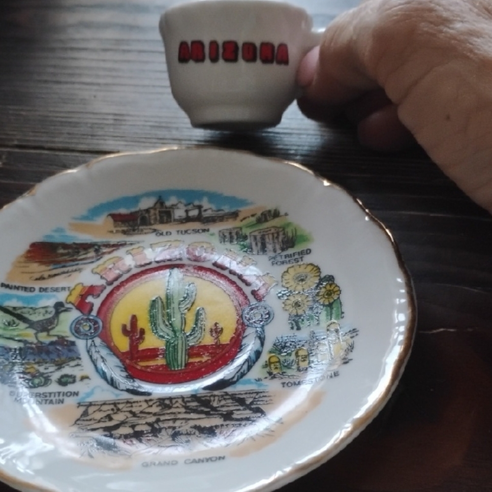 Arizona Souvenir Plate and Cup Set